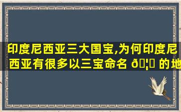 印度尼西亚三大国宝,为何印度尼西亚有很多以三宝命名 🦉 的地方